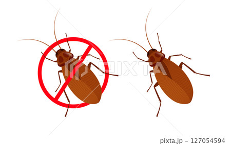 Cockroach with forbidden sign representing disinfestation and pest control Cockroach with forbidden sign representing disinfestation and pest control 127054594
