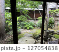緑豊かな庭園 127054838