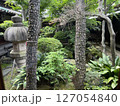 緑に囲まれた庭園 127054840