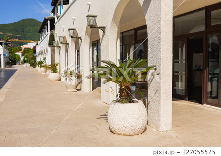 White arcade with potted palms. Mediterranean architecture, summer atmosphere, and elegant urban design in coastal area. White arcade with potted palms. Mediterranean architecture, summer atmosphere, and elegant urban design in coastal area. 127055525