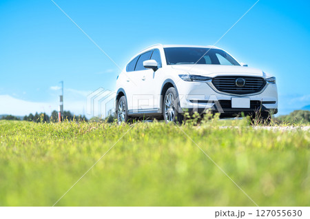 白いSUVタイプの自動車 白いSUVタイプの自動車 127055630