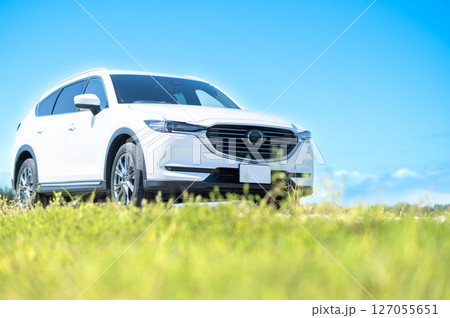 白いSUVタイプの自動車 白いSUVタイプの自動車 127055651