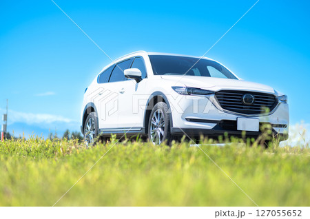 白いSUVタイプの自動車 白いSUVタイプの自動車 127055652