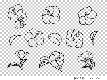 夏の花　ハイビスカス　セット 127055760