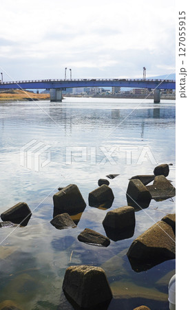静岡県沼津市の街並み(狩野川に架かる永代橋) 静岡県沼津市の街並み(狩野川に架かる永代橋) 127055915