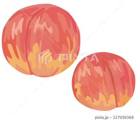 スモモのイラスト ベクター素材 スモモのイラスト ベクター素材 127056368