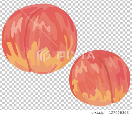 スモモのイラスト ベクター素材 スモモのイラスト ベクター素材 127056368