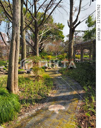 中国上海・古猗園 127056762