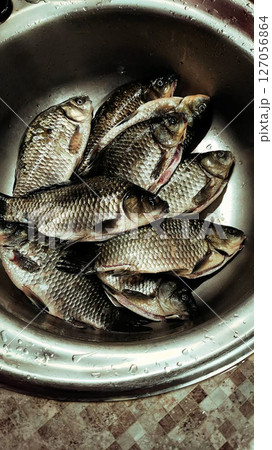 fresh crucian carp fish in a bowl fresh crucian carp fish in a bowl 127056864
