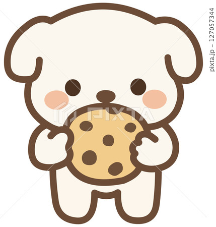 Cute White Puppy Eating Chocolate Chip Cookie 127057344