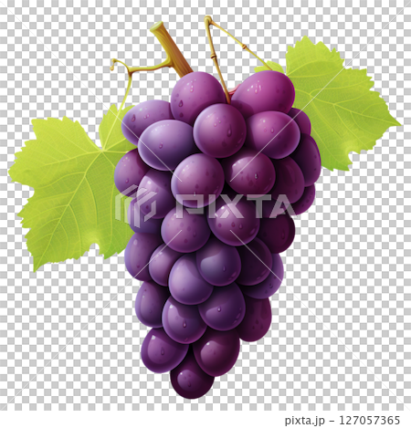 Grape 127057365