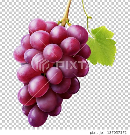 Grape 127057371