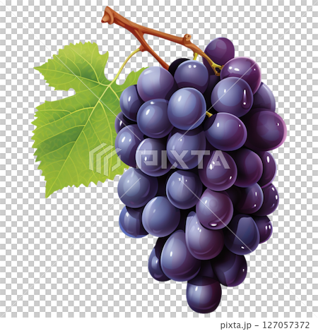 Grape Grape 127057372