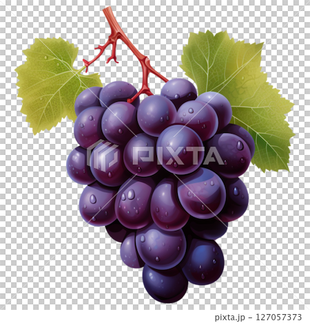 Grape Grape 127057373