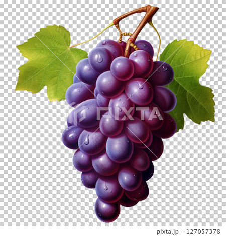 Grape Grape 127057378