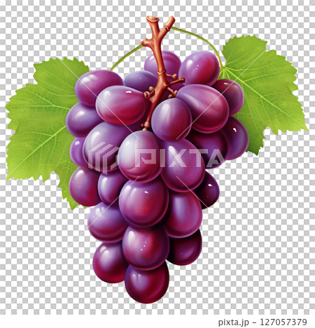 Grape 127057379