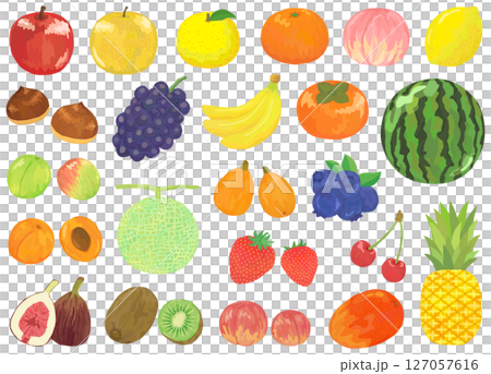 Fruit illustration set vector material Fruit illustration set vector material 127057616