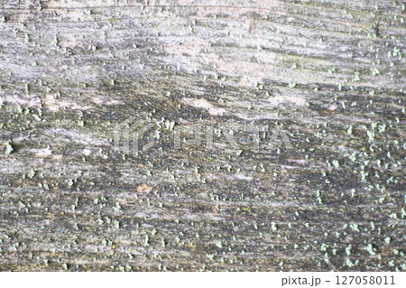 Wooden background. 127058011