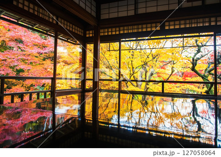 Colorful fall tree with reflection on table, Rurikoin temple, Kyoto 127058064