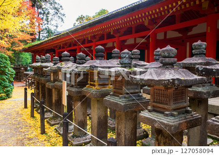 stone lantern by Kasuga Shrine with colorful fall maple leaf, Nara stone lantern by Kasuga Shrine with colorful fall maple leaf, Nara 127058094
