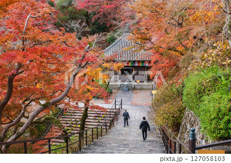 people walk downstair at Hasedera temple with fall tunnel, Nara 127058103