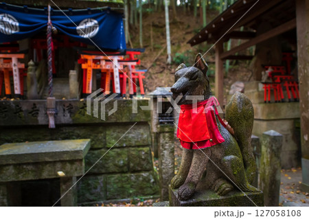 Kitsune fox statue by shrine and torii gate at Fushimi Inari shrine, Kyoto 127058108