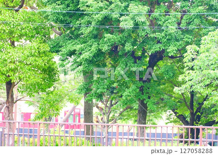 花園中央公園周辺の森林 127058288