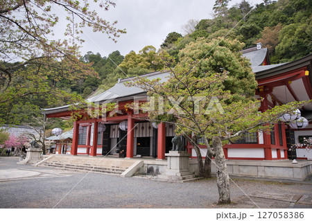鞍馬寺 本殿金堂と金剛床(こんごうしょう)4 鞍馬寺 本殿金堂と金剛床(こんごうしょう)4 127058386