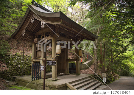 鞍馬寺　中門と新緑3 127058404