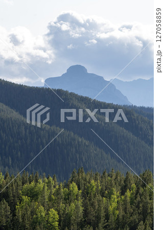 Coniferous forest covering rolling hills in the canadian rockies Coniferous forest covering rolling hills in the canadian rockies 127058859
