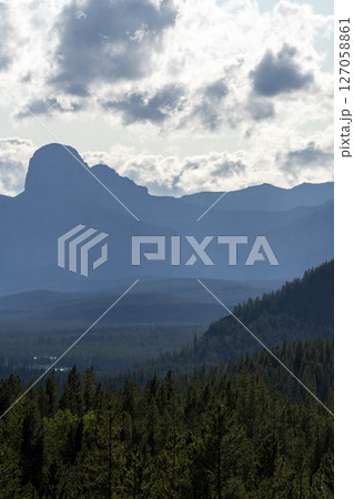Coniferous forest and majestic mountain range under cloudy sky in british columbia 127058861