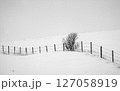 Wire fence running through snowy landscape in winter 127058919