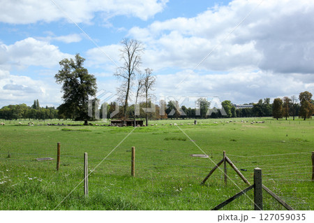 フランス パリ ベルサイユ宮殿 牧草地 フランス パリ ベルサイユ宮殿 牧草地 127059035