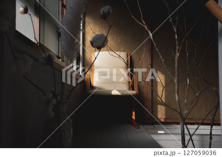 静かな日差しに包まれた椅子とドライツリーのある空間 静かな日差しに包まれた椅子とドライツリーのある空間 127059036