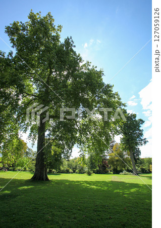 フランス　パリ　ベルサイユ宮殿 127059126