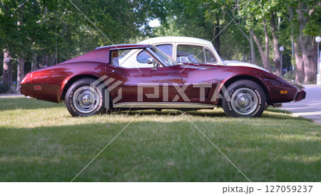 1970s Chevy Corvette Stingray Side Profile 127059237