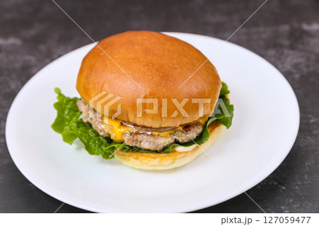 Homemade hamburgers on a plate Homemade hamburgers on a plate 127059477