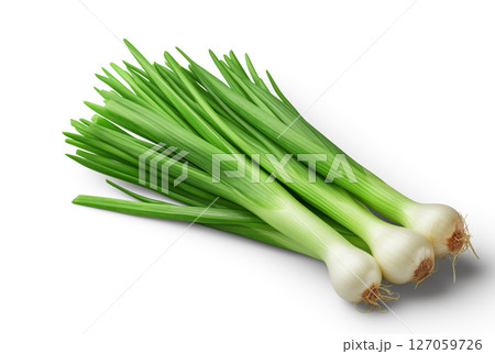 onion leaves on white. green onion feathers isolated on white background 127059726