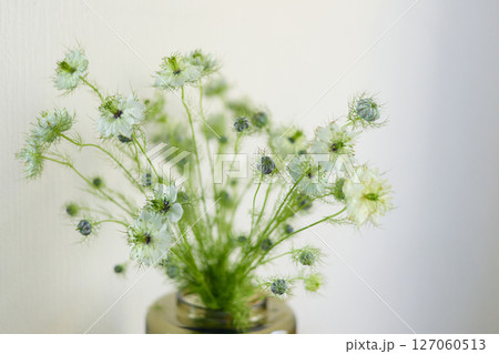 a bouquet of daisies in a glass vase stands on a table on a white background, depth of field, side effect, defocus, macrophotography, bokeh 127060513
