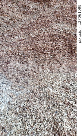 Biofuel Production From Wood Chips in an Eco-Friendly Facility During Daylight Hours Biofuel Production From Wood Chips in an Eco-Friendly Facility During Daylight Hours 127061099