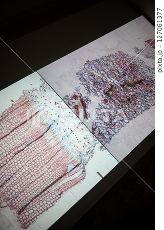 Porto, Portugal - 31 May 2023 Photographic exhibition "Across the matter of time" in Portuguese Center of Photography Porto, Portugal - 31 May 2023 Photographic exhibition "Across the matter of time" in Portuguese Center of Photography 127061377