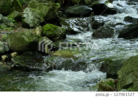 小川の水の流れ 小川の水の流れ 127061527