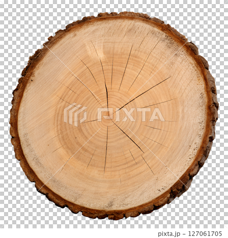 Wood log cross-section isolated on transparent background, tree trunk slice, natural texture, growth rings, forestry, rustic, cut timber Wood log cross-section isolated on transparent background, tree trunk slice, natural texture, growth rings, forestry, rustic, cut timber 127061705