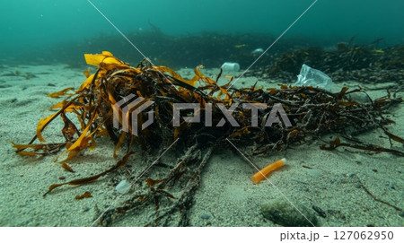 Seaweed and Plastic Pollution on the Ocean Floor 127062950