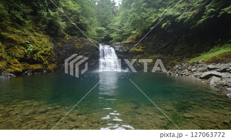 A small waterfall cascades into a clear pool surrounded by lush green foliage. 127063772