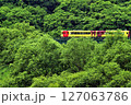 初夏の大船渡線 127063786