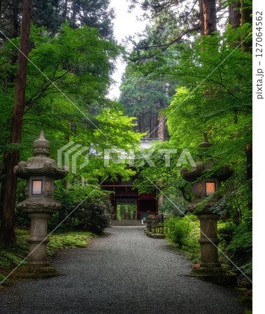 初夏の新緑が濃い登山道の風景 127064562