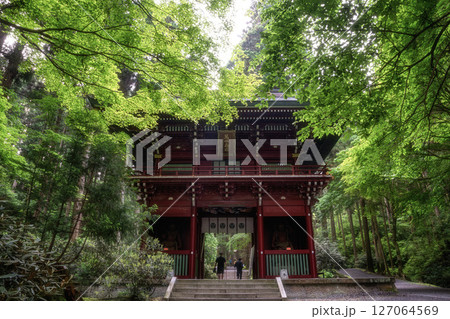 初夏の新緑が濃い登山道の風景 127064569