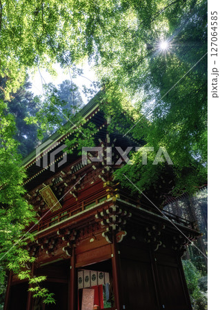 初夏の新緑が濃い登山道の風景 初夏の新緑が濃い登山道の風景 127064585