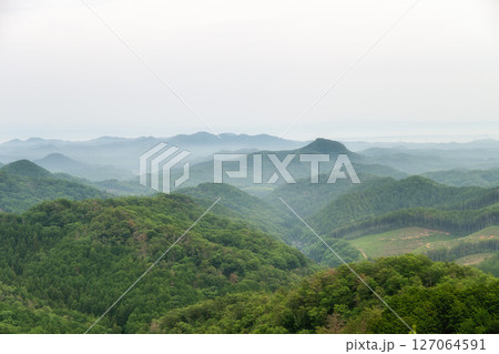 初夏の新緑が濃い登山道の風景 127064591